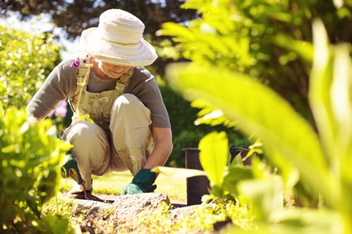 Beautiful Camden garden transformed by professional gardener
