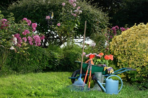 Camden hedge trimming service team at work