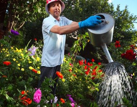 Sustainable native plants in Camden landscape