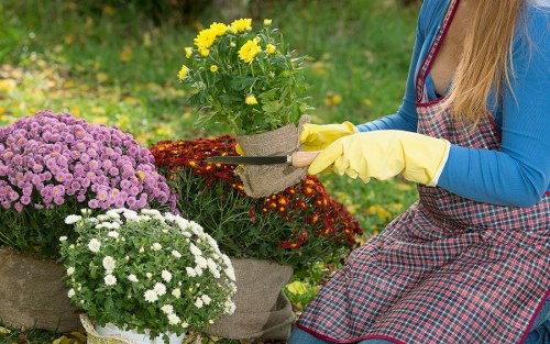 Various types of lawn mowers for different yard sizes