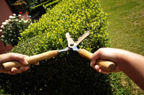 Landscaping services by Gardener Camden enhancing outdoor space