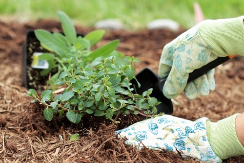 Inspector reviewing garden work with pruning tools on site