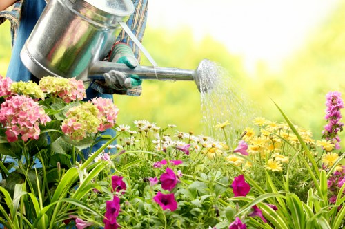 Professional maintenance of a Camden landscape garden