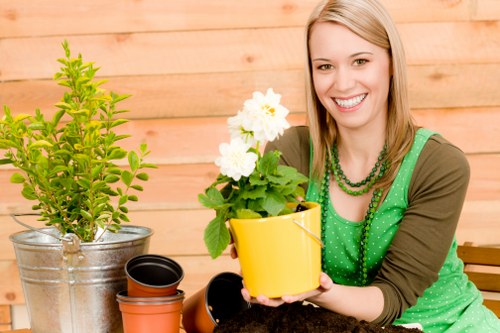 Scheduling lawn mowing services according to seasons