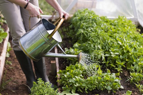Gardener Camden team collaborating with clients