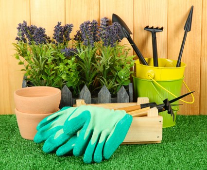 Organic pest control methods being applied in Camden garden