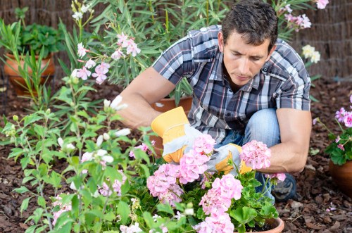 Seasonal planting in a Camden garden by expert gardener